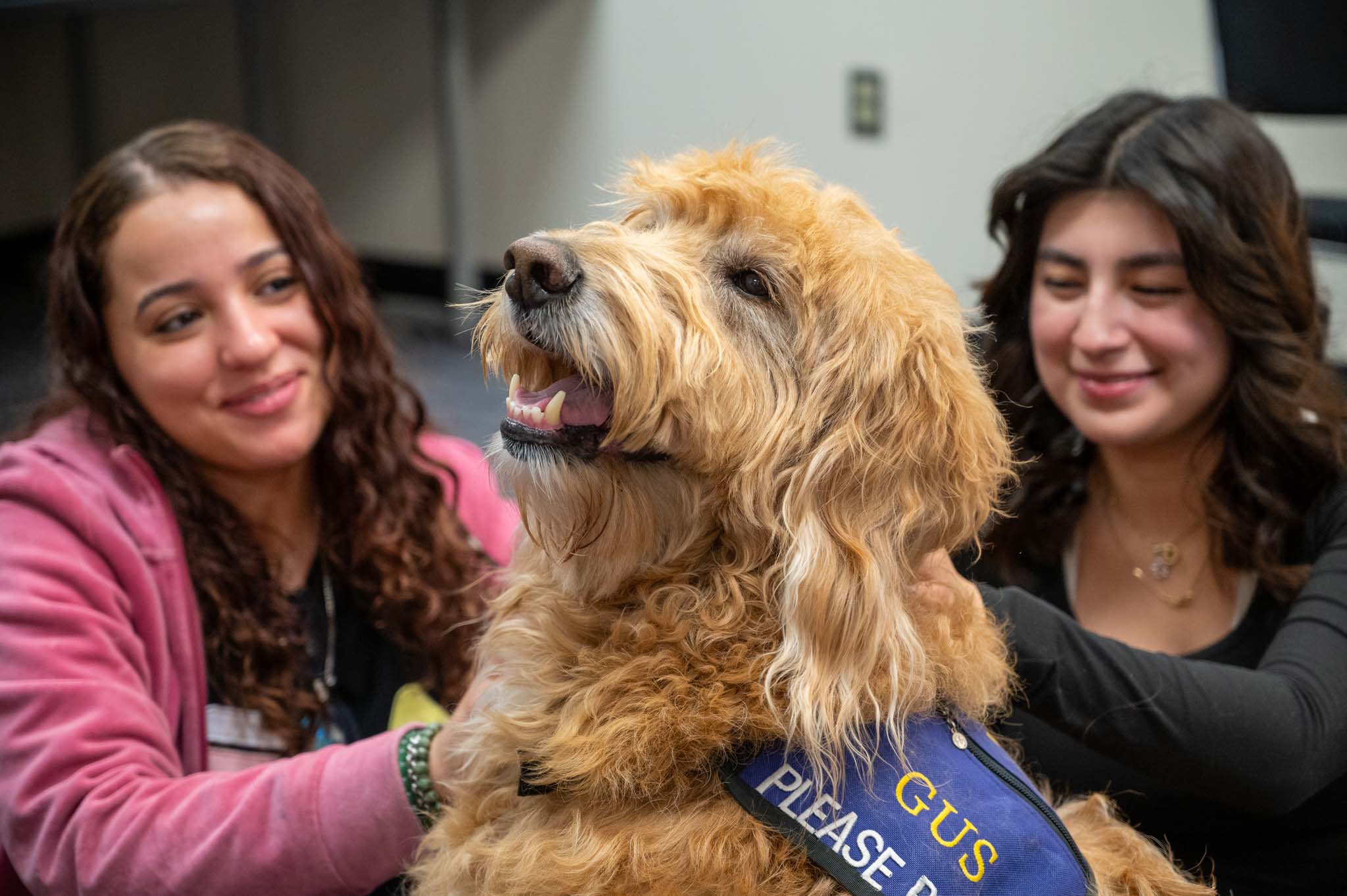 Two ACC students pet a golden doodle dog in the Library at the Littleton Campus