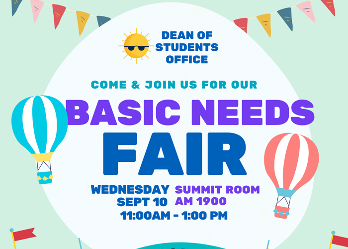 Basic Needs Fair flyer 