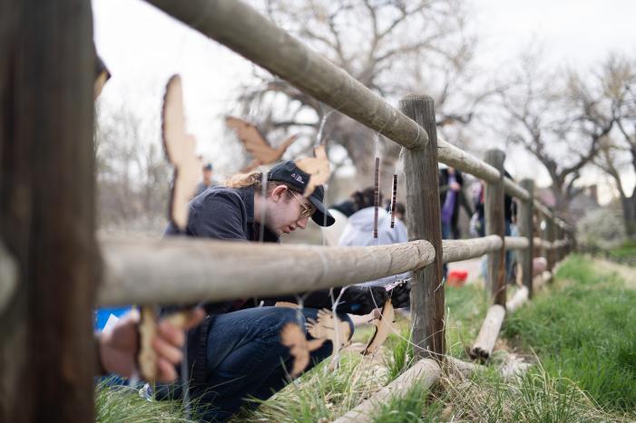 ACC students hanging birds from fence rails on the High Line Canal Trail