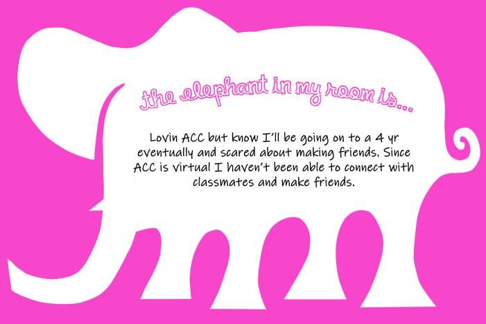 the elephant in my room is...Lovin' ACC but know I'll be going to a 4 year eventually and scared about making friends. Since ACC is virtual I haven't been able to connect with classmates and make friends.