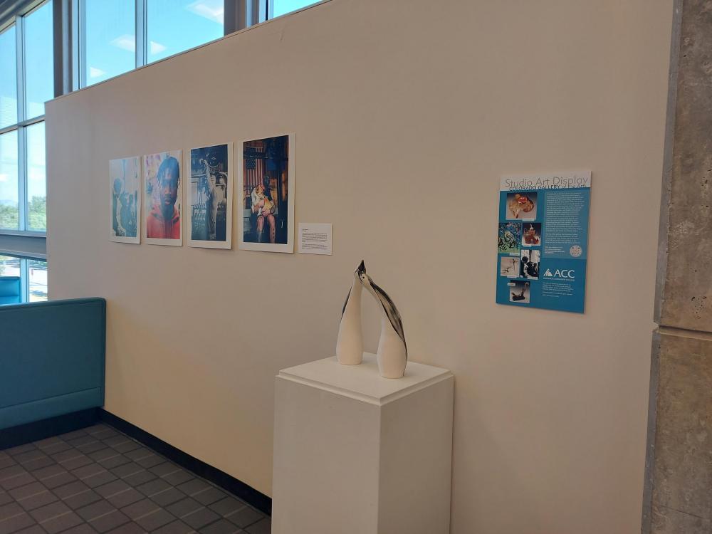 ACC student artwork displayed in the Library at the Littleton Campus.
