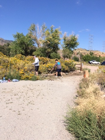 Trey Holloway and John VanVynckt from ACC’s Physical Therapist Assistant Program, remove overgrown native rabbitbrush along the trail’s edge. 