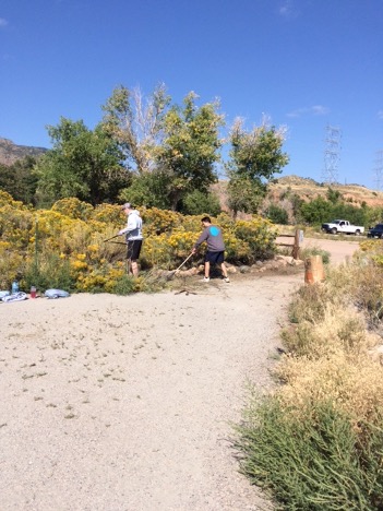 Trey Holloway and John VanVynckt from ACC’s Physical Therapist Assistant Program, remove overgrown native rabbitbrush along the trail’s edge.