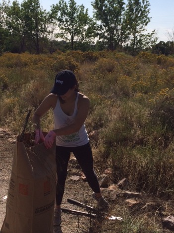 Sarah Boyce, who is not from ACC, came along anyway to support her boyfriend John and enjoy some sun and exercise, all while clearing the trails of invasive foliage behind the Amphitheatre.