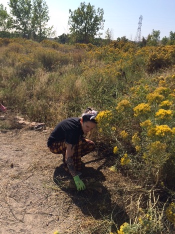 Nicole Choromanski volunteered with Denver Audubon, an ACC long-time community partner, to earn hours towards her Interpersonal Communication course’s Service Learning project. 