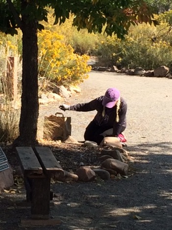 Karen Browning from ACC’s Marketing department dug right in to dig out invasive weeds near the Bird Bath Garden and Circle Garden across from Denver Audubon’s Outdoor Laboratory.