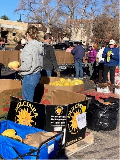 volunteers sorting food at Fresh Thanks Day