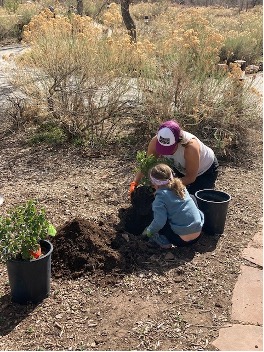 ACC volunteers planting new plants together during another ACC Day of Service at another Earth Day celebration.