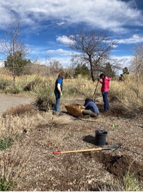 Volunteers from ACC working to clear flower beds.