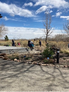 ACC volunteers clearing gardens (from a distance).