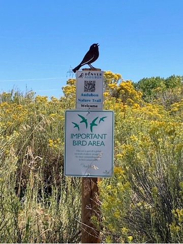 Bird Area sign at the Denver Audubon