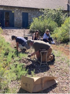 Volunteers pulling invasive weeds