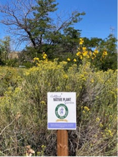 Sign in front of plants