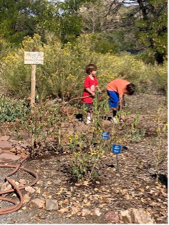 Kids volunteering and working in gardening efforts.
