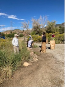 ACC volunteers with trash bags, clearing the trail at Denver Audubon Society.