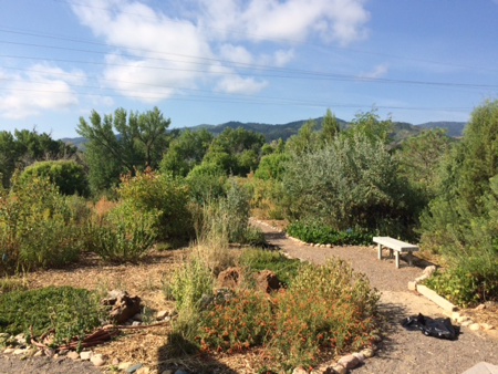 Garden Walk at Chatfield State Park. 