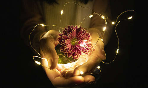 Rebeca Murillo - Light