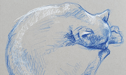 Gabby Van Allen life drawing pastel on paper Drawing II