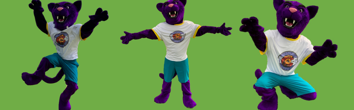 ACC Puma (mascot)