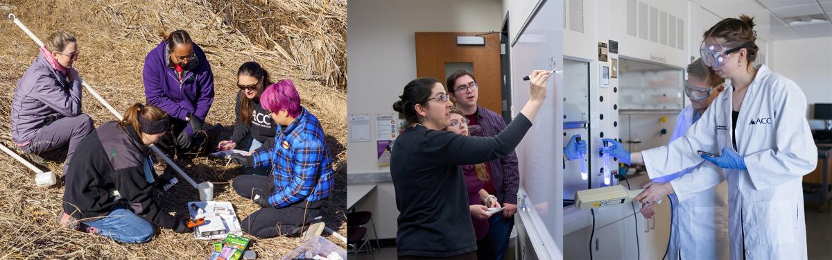 A panoramic collage showcasing a group of students and faculty involved in outdoor research activities and a group portrait. From left to right: A team conducts fieldwork in a dry grassy area, analyzing samples and taking notes. In the center, six students smile for a group photo indoors, wearing casual attire. The final image returns to the outdoor setting, focusing on a student with vibrant purple hair examining a scientific instrument, accompanied by peers and an instructor.