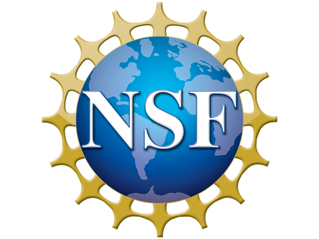 NSF logo