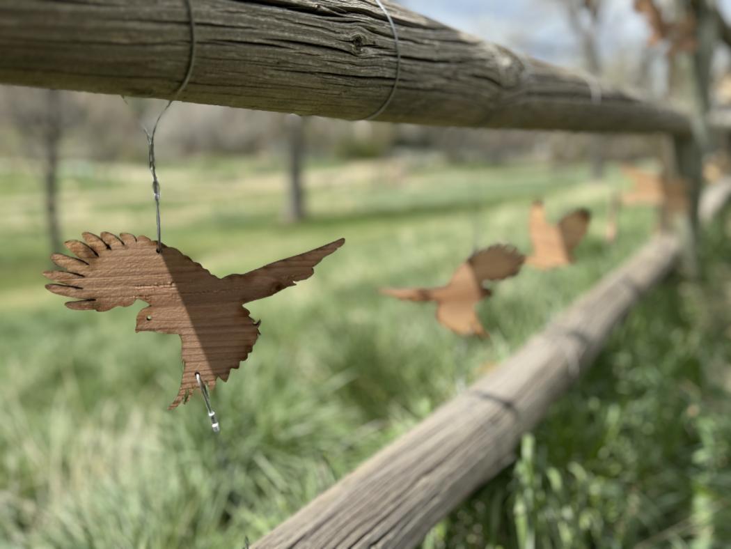 ACC Art on the High Line Canal Trail (wooden birds hanging on a wooden fence)