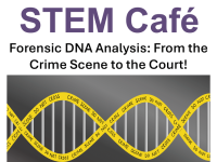 STEM Café: Forensic DNA Analysis: From the Crime Scene to the Court; double helix as crime scene tape