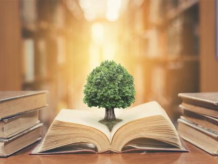 Tree growing out of a book
