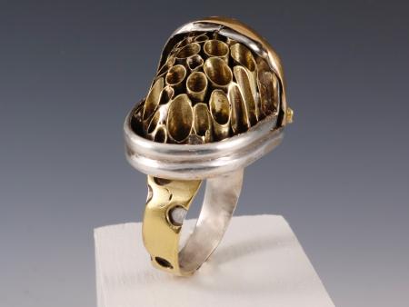 Untitled (Ring)