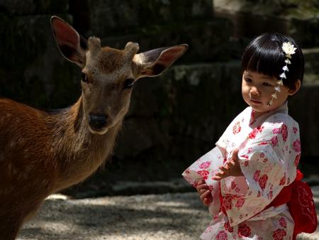 Emilia Pyle - Sacred Innocence - Kyoto, Japan