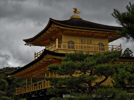 Emilia Pyle - The Golden Pavilion Within the Storm - Kyoto, Japan