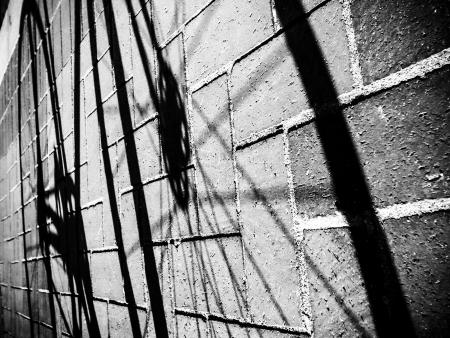 Joseph Lavine - Shadow Bike
