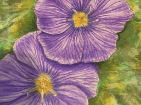 Callae Mock  - Purple Mountain Flowers