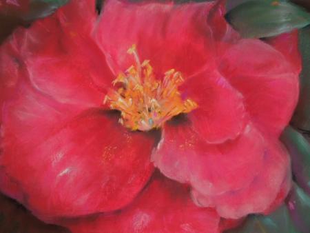 Amy Martin - Red Camellia
