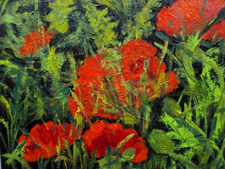 Joan Bell - Poppies