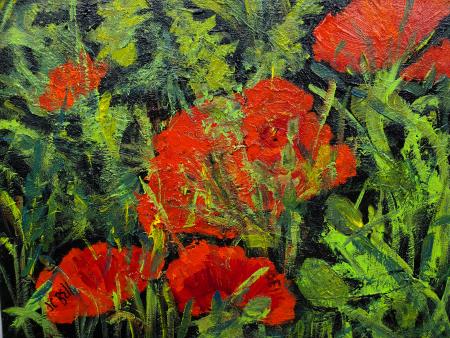 Joan Bell  - Poppies