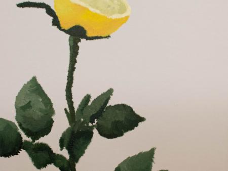 Rachael Cunningham - Lemon Flower