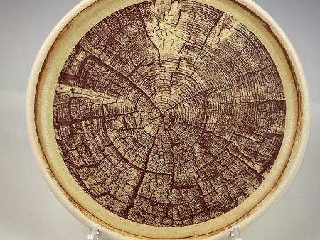 Hollie Giannaula - Woodgrain plates