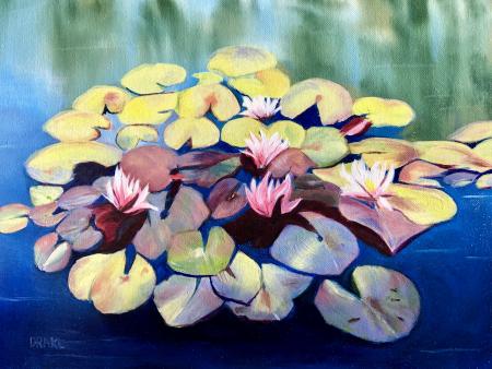 Lisa Drake - Hudson Gardens Waterlilies