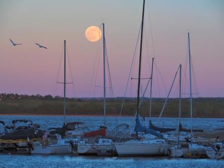 Rosanne Juergens - Full Moon Over the Marina