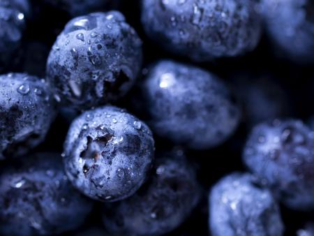 Blueberries (photo by Libby Christian)