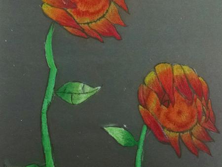 Danna Bautista Oil Pastel 5th Grade Teacher: Clare Kothlow Hopkins Elementary