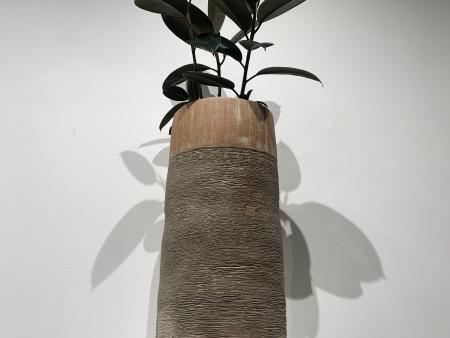 Justin K Beerline Title: Tree planter