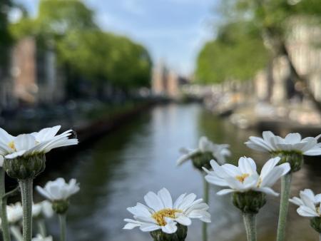 Morgan Delao Title: Flowers on the canal
