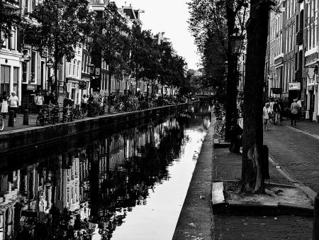 Silvia Sofia Torres Rodriguez Title: Royal Canal
