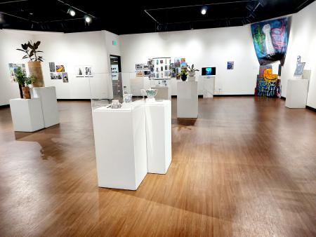 Gallery View