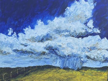 Janet Ford Storm Front