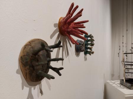 Katie Bacon - Sea organisms