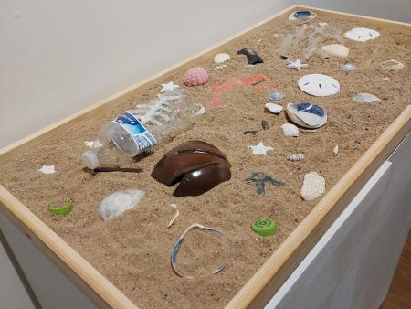 Joann Harrington - Beach Treasure and Trash