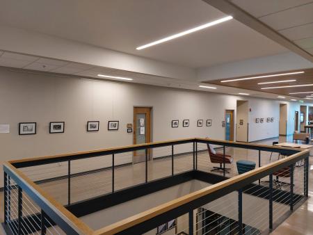 "Life Series" exhibition at ACC's Sturm Collaboration Campus on the 2nd floor.